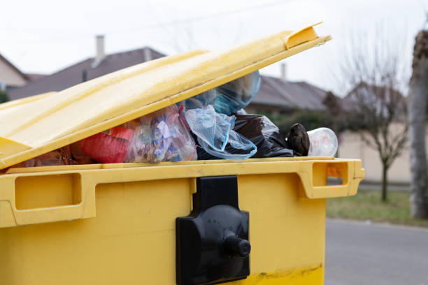 Best Electronics and E-Waste Disposal  in Stoneville, NC